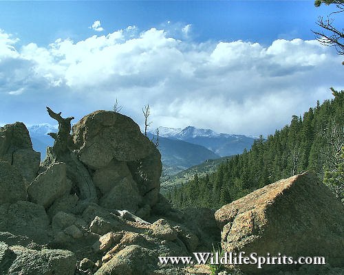 Click Picture to send as an  E-PostCard 63k 500x400